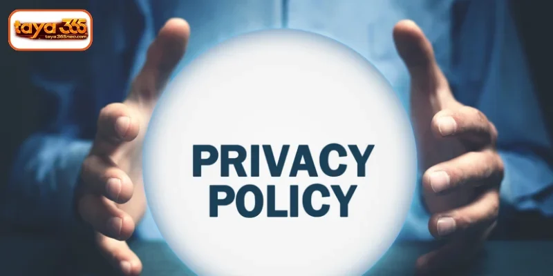 Data Confidentiality Under the Privacy Policy