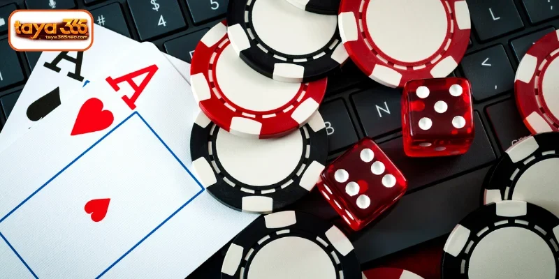 Exploring the TAYA365 Live Casino Arena
