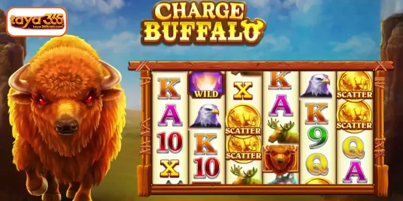 Features and bonus rounds at Charge Buffalo TAYA365