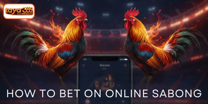 How to bet on online Sabong Basic tips for players