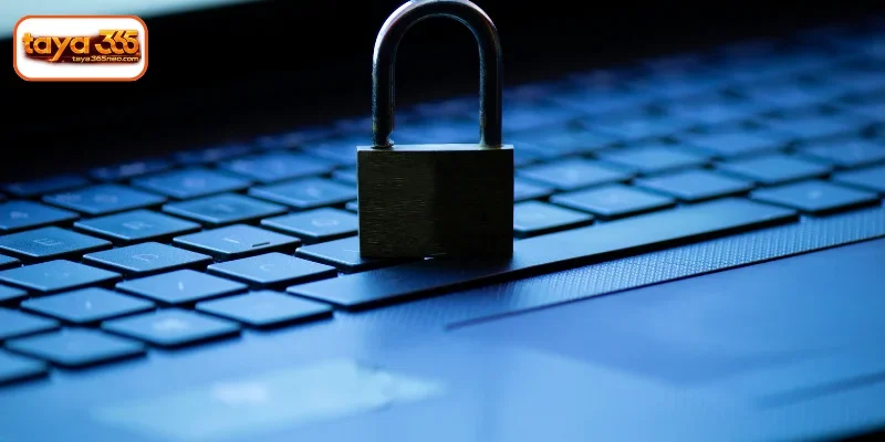 Introduction to the TAYA365 Privacy Policy