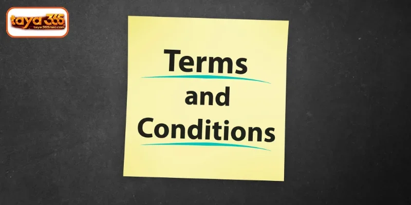 TAYA365 Terms and Conditions for Finance